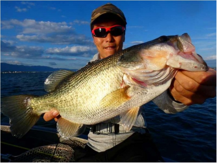 truth  ブログ写真 2018/10/17