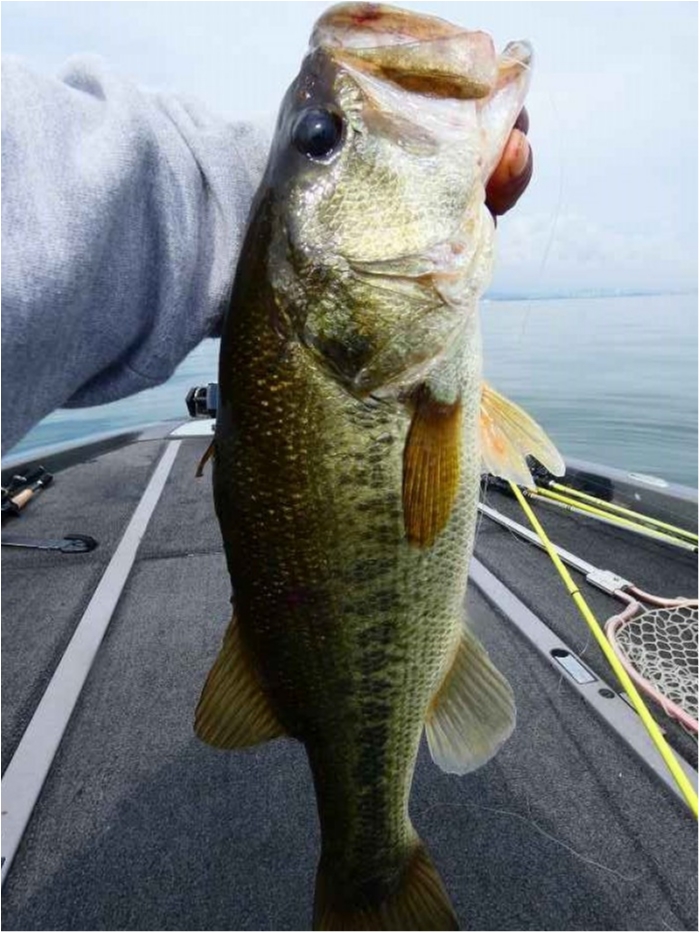 truth  ブログ写真 2018/10/17