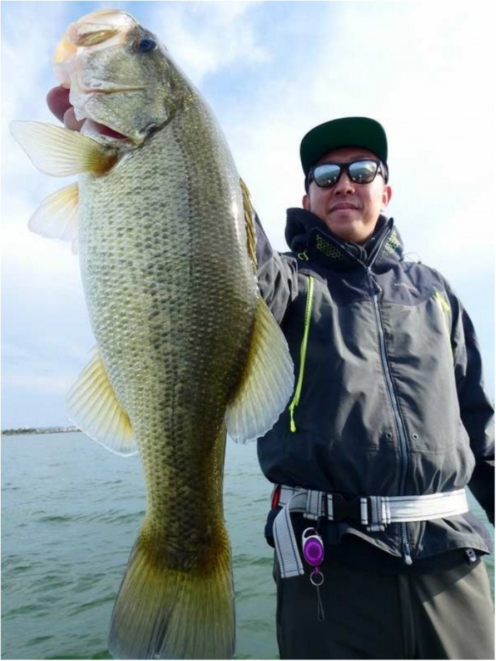 truth  ブログ写真 2018/10/17