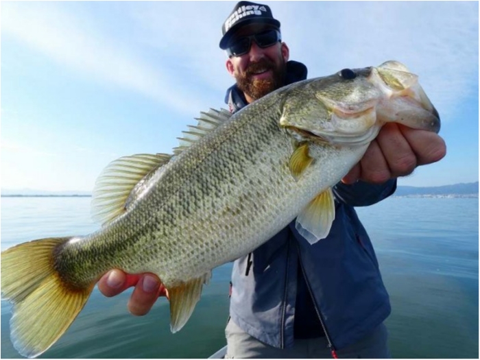 truth  ブログ写真 2018/10/18