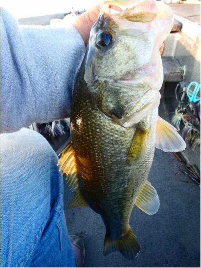 truth ブログ写真 2018/10/19