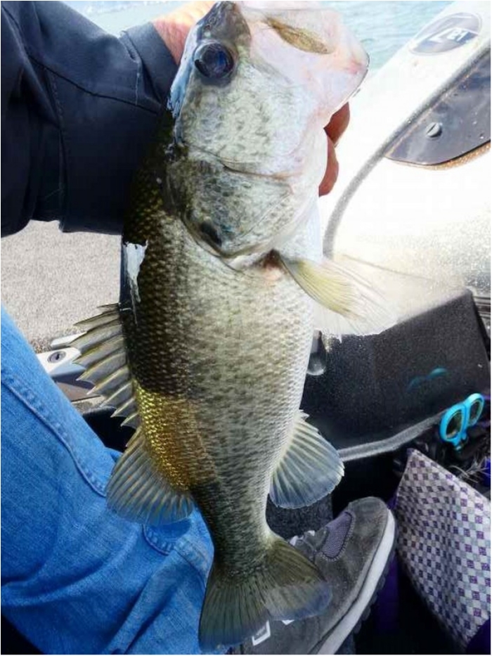 truth ブログ写真 2018/10/19