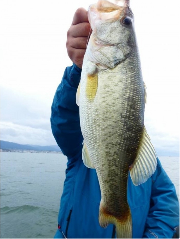 truth ブログ写真 2018/10/20