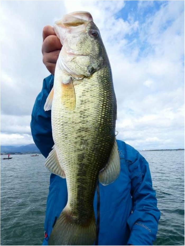 truth ブログ写真 2018/10/20