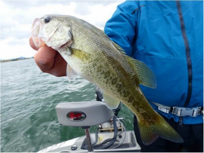 truth ブログ写真 2018/10/20