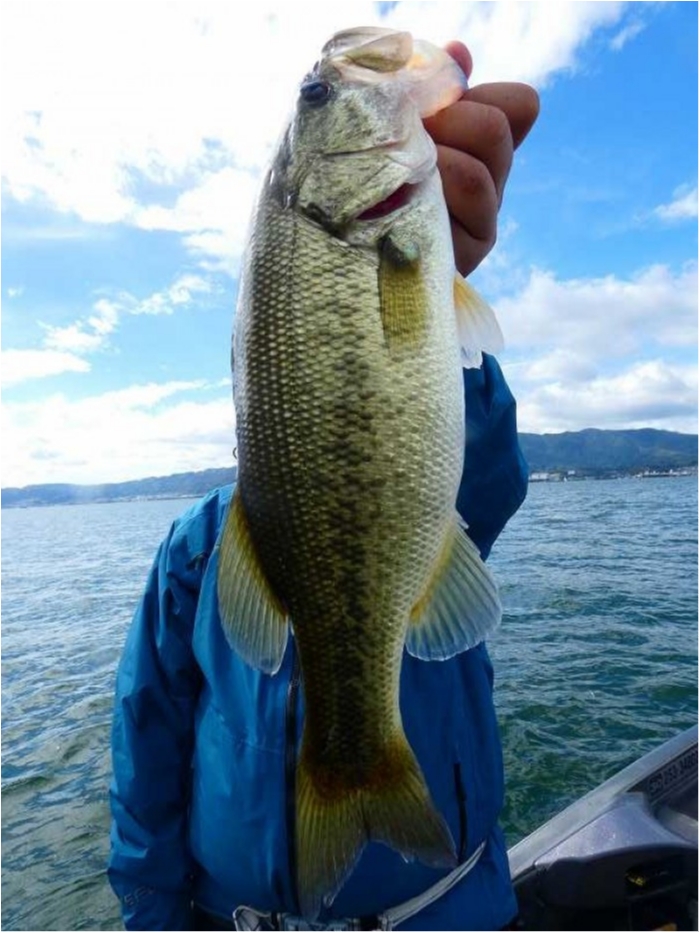 truth ブログ写真 2018/10/20