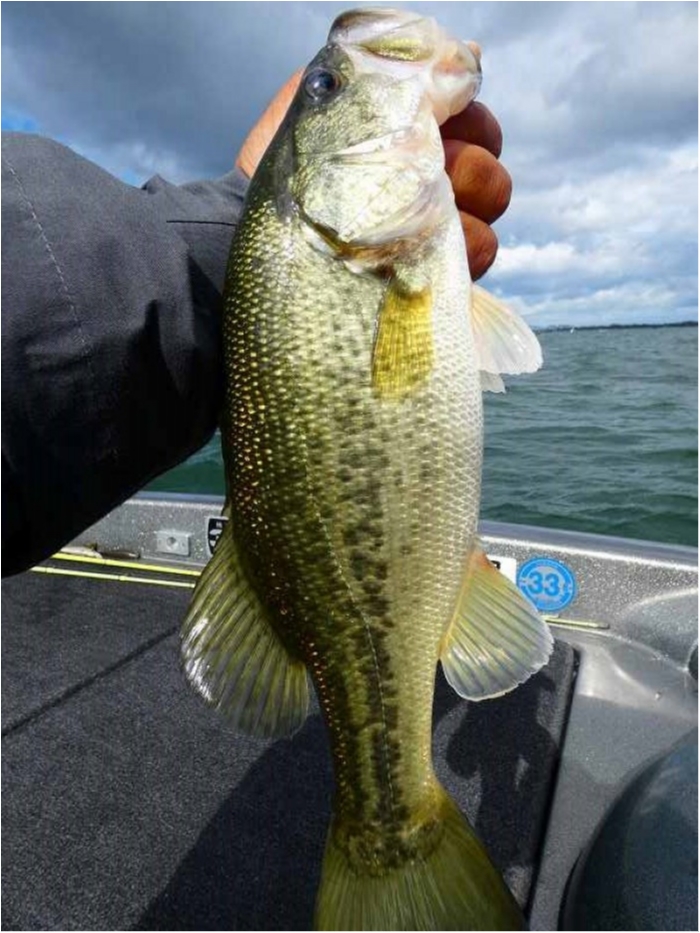 truth ブログ写真 2018/10/20