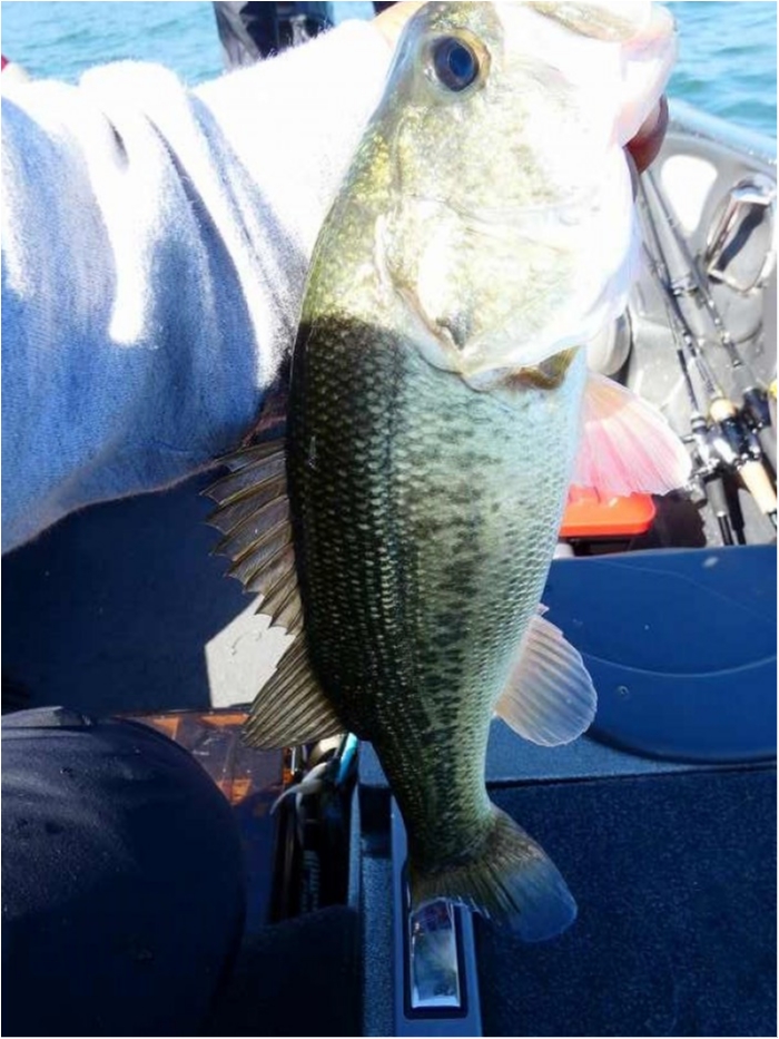 truth ブログ写真 2018/10/21