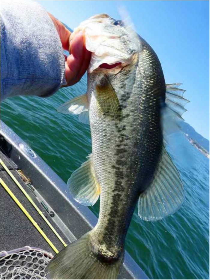 truth ブログ写真 2018/10/21