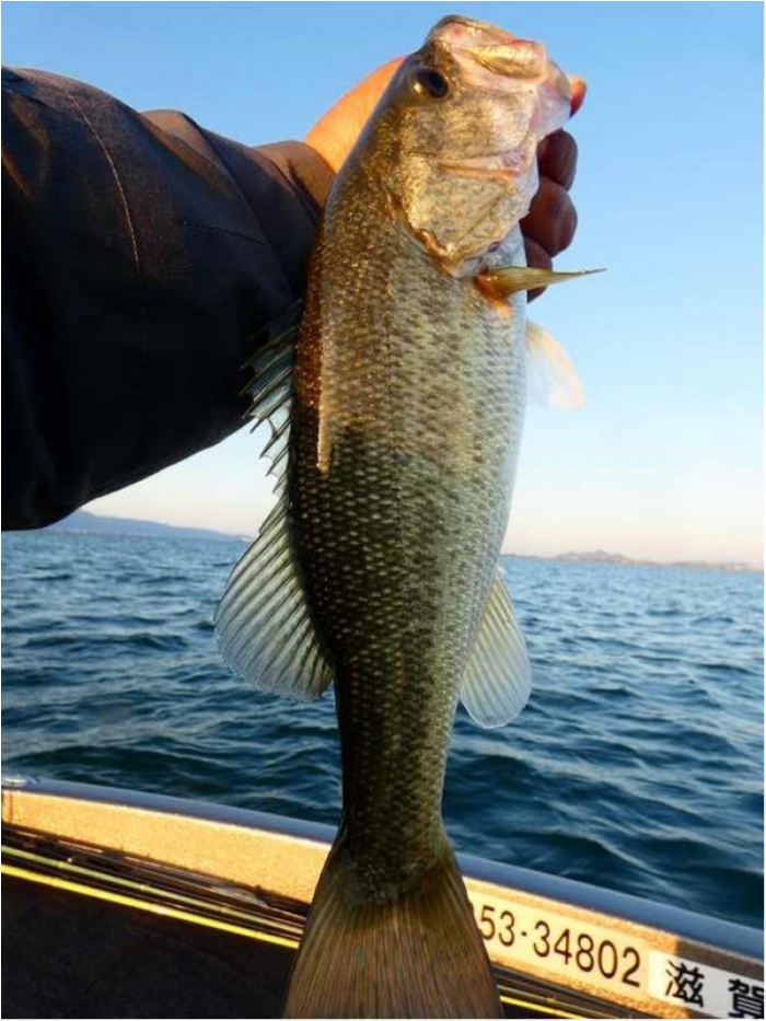 truth ブログ写真 2018/10/21