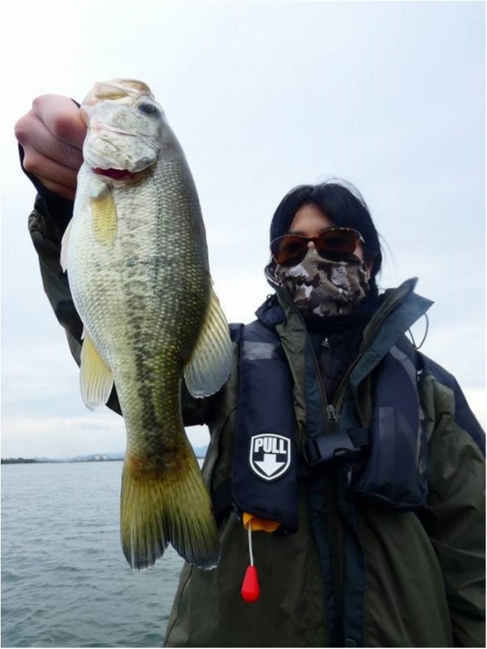 truth  ブログ写真 2018/10/23