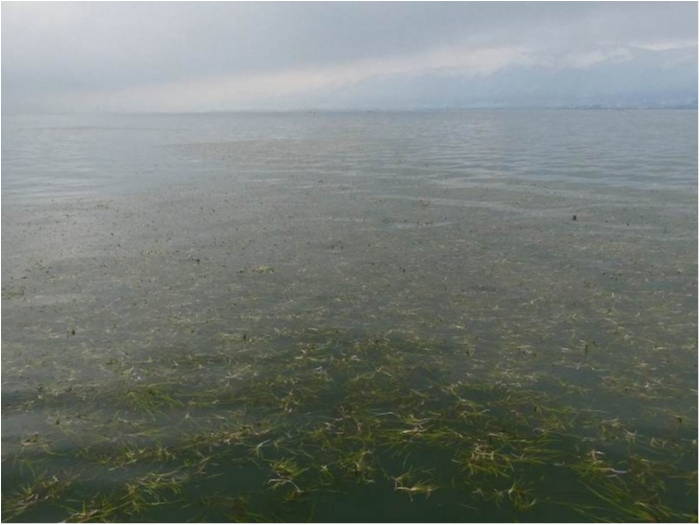 truth  ブログ写真 2018/10/24