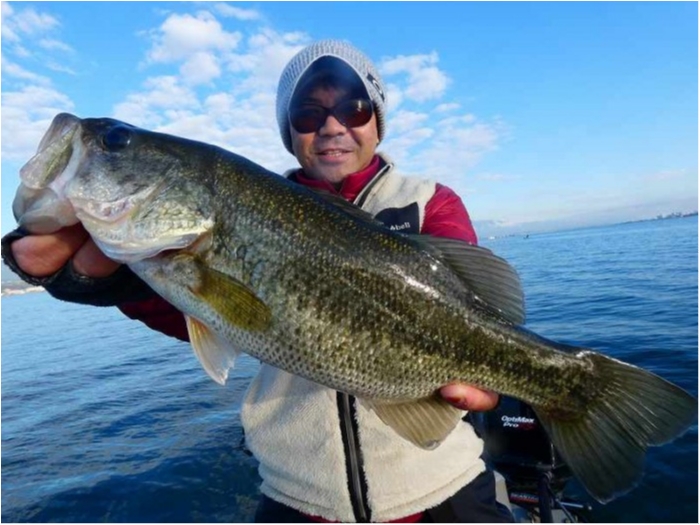 truth  ブログ写真 2018/11/03