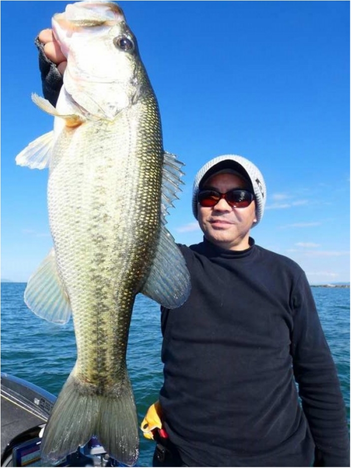 truth  ブログ写真 2018/11/03