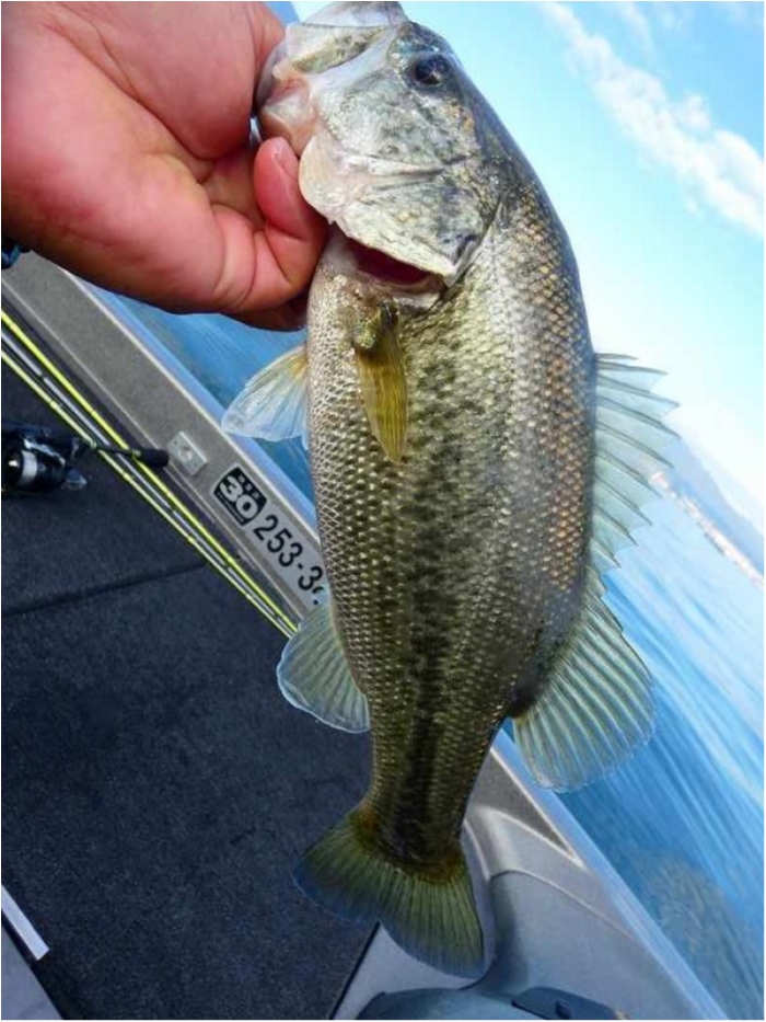 truth  ブログ写真 2018/11/03