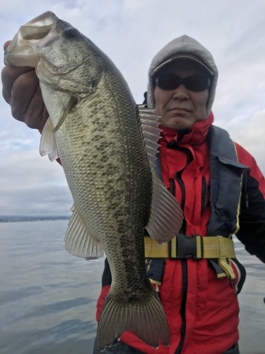 truth  ブログ写真 2018/11/04