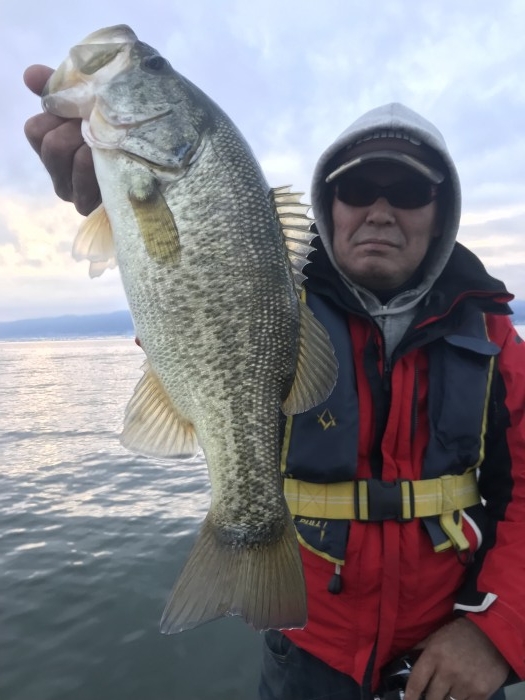 truth  ブログ写真 2018/11/04