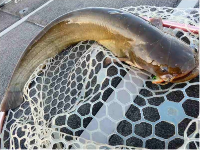 truth  ブログ写真 2018/11/05