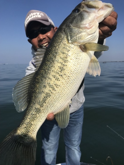 truth  ブログ写真 2018/11/11