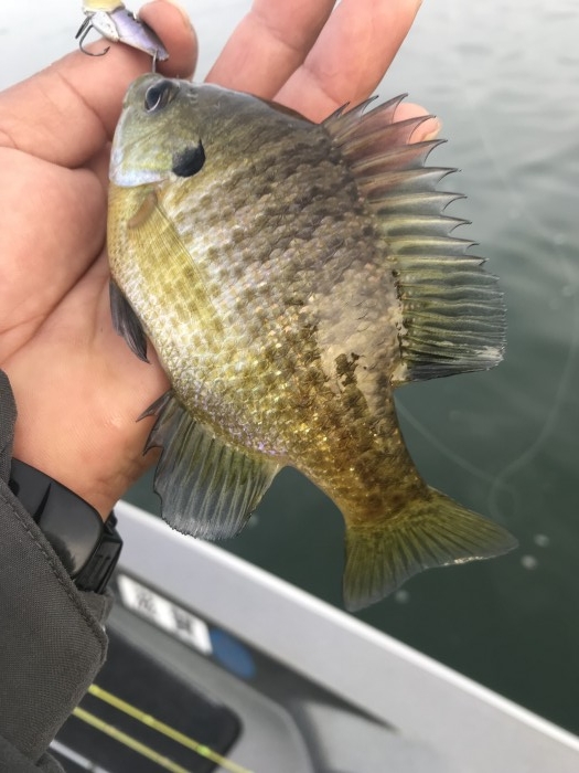 truth  ブログ写真 2018/11/16