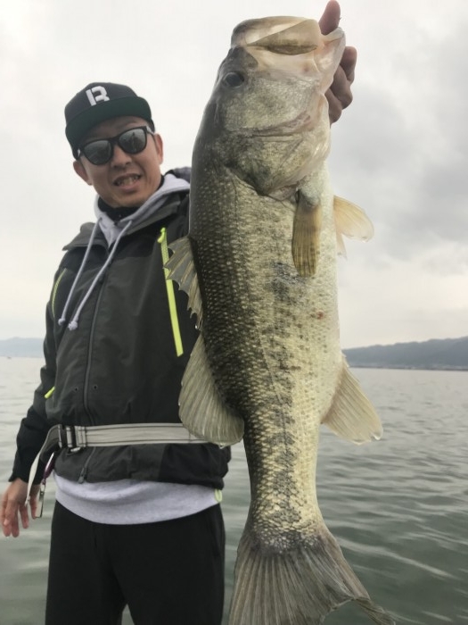 truth  ブログ写真 2018/11/19