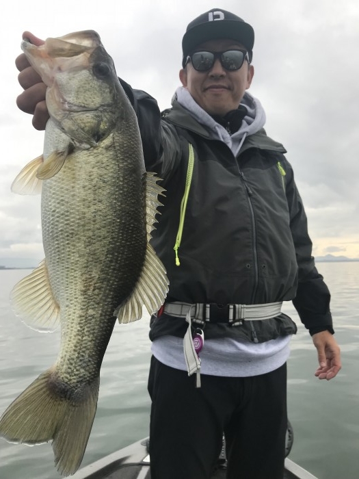 truth  ブログ写真 2018/11/19