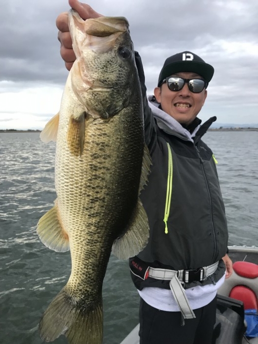 truth  ブログ写真 2018/11/19