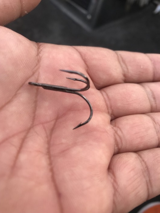 truth  ブログ写真 2018/11/20