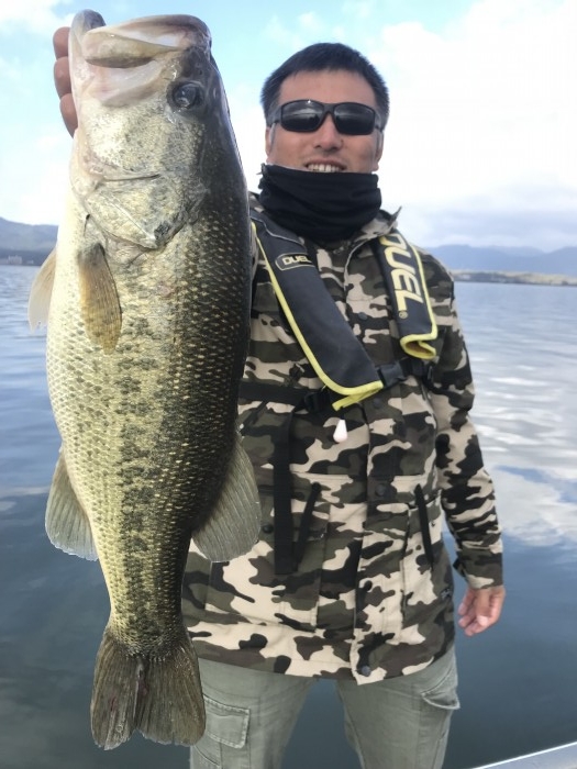 truth  ブログ写真 2018/11/20