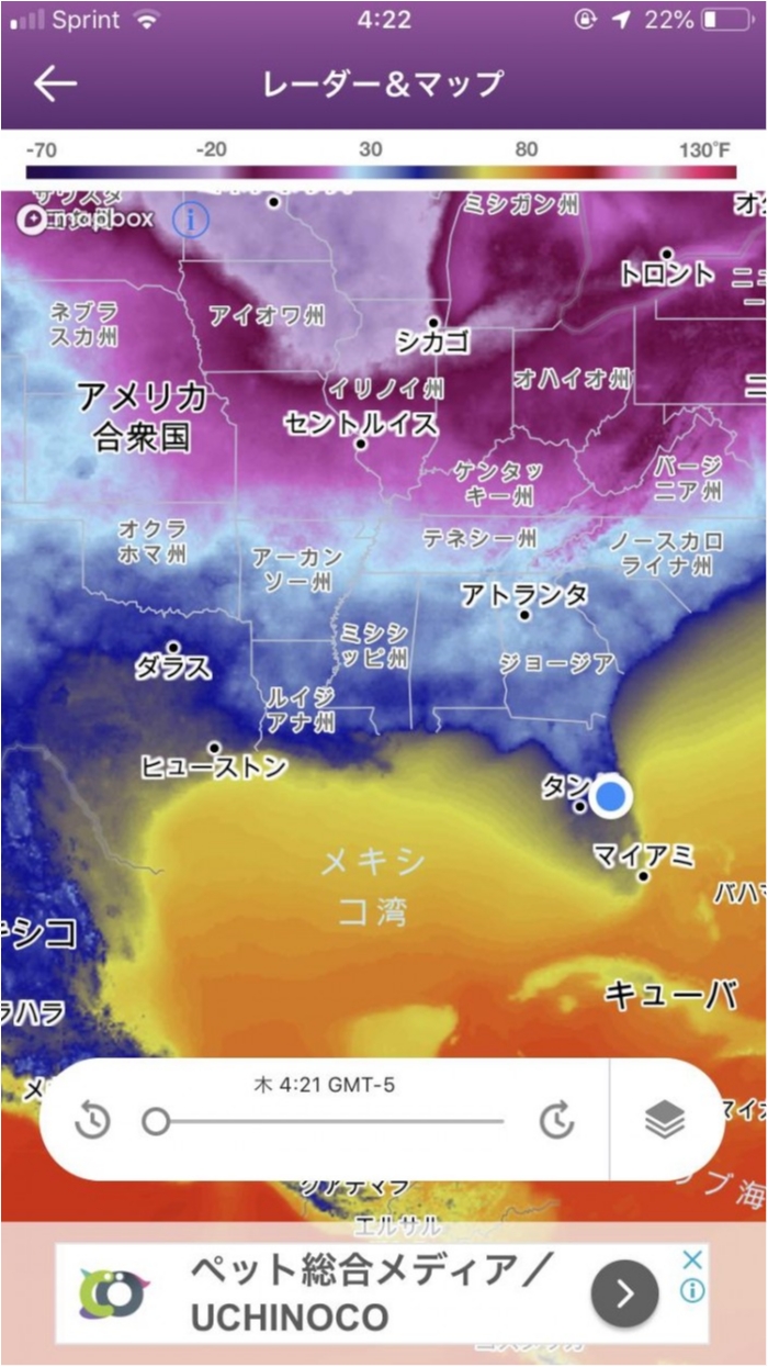 truth  ブログ写真 2019/02/07