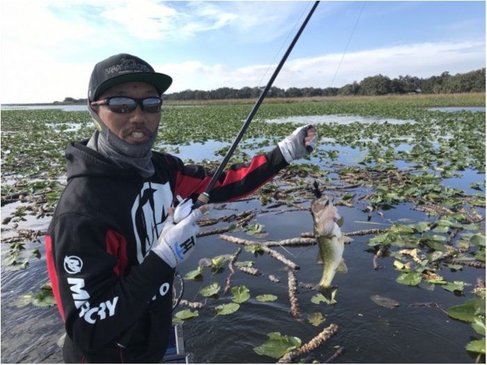 truth  ブログ写真 2019/02/09