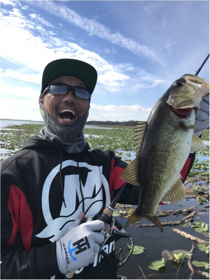 truth  ブログ写真 2019/02/09