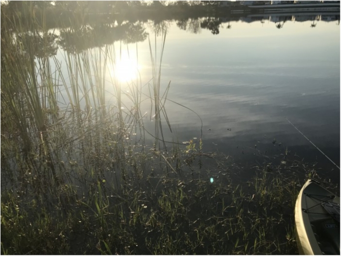 truth  ブログ写真 2019/02/11