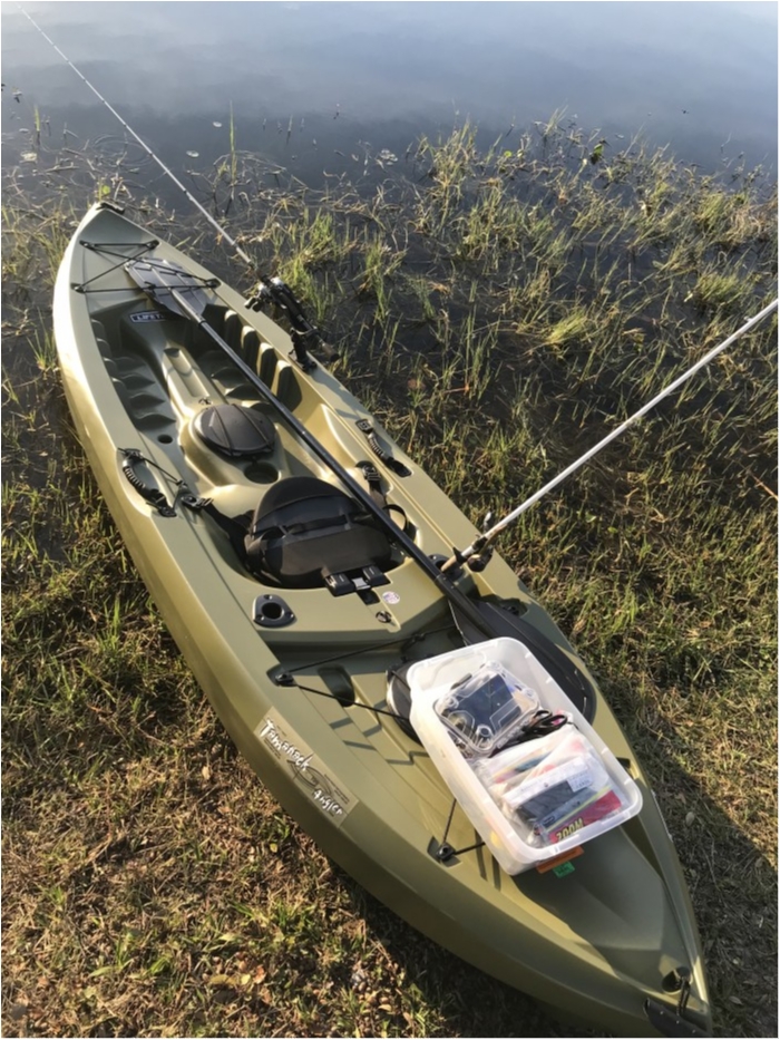 truth  ブログ写真 2019/02/11