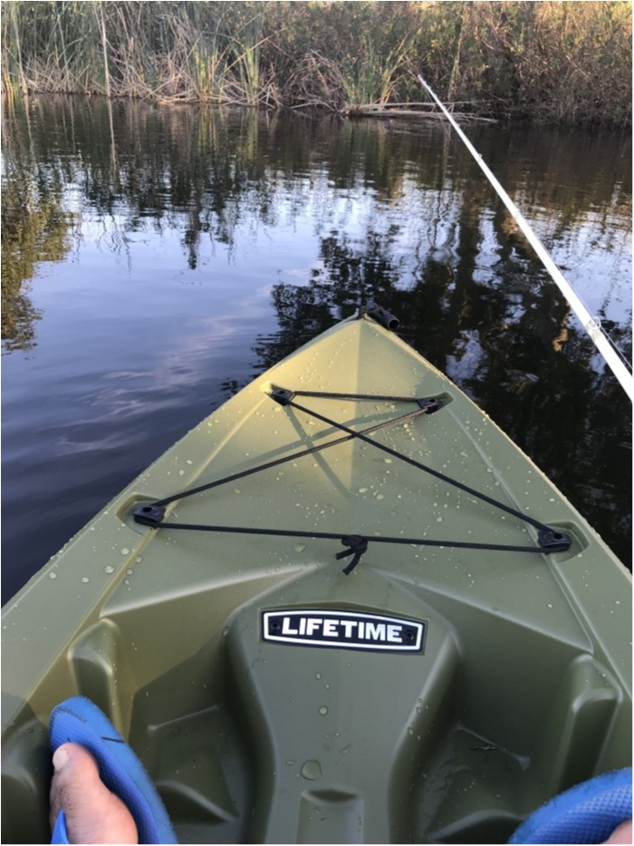 truth  ブログ写真 2019/02/14