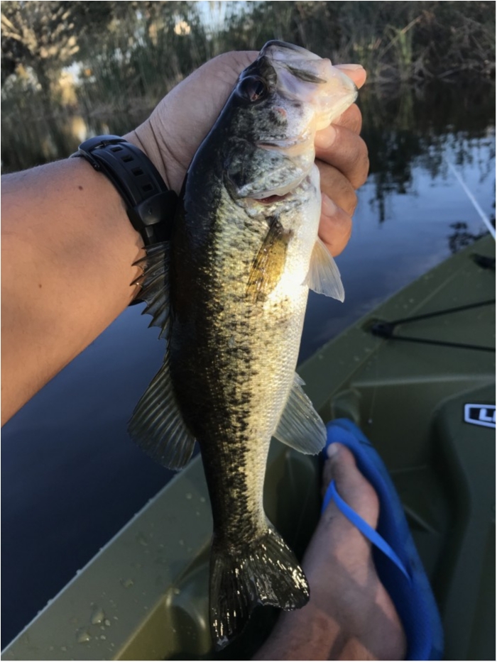 truth  ブログ写真 2019/02/14