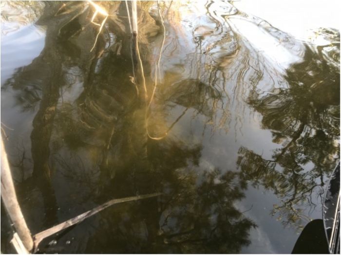 truth  ブログ写真 2019/02/14