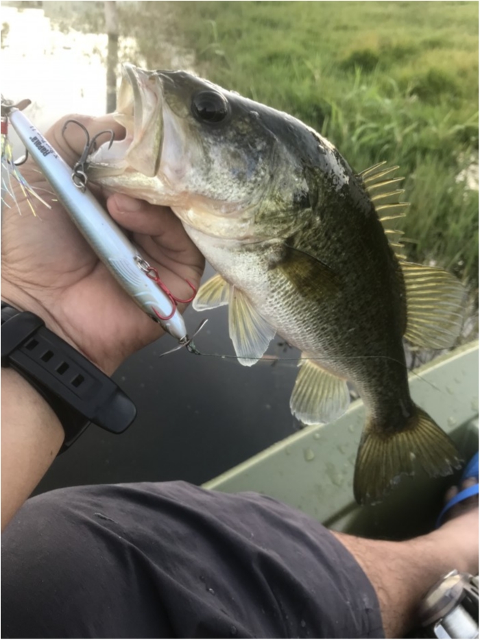 truth  ブログ写真 2019/02/14