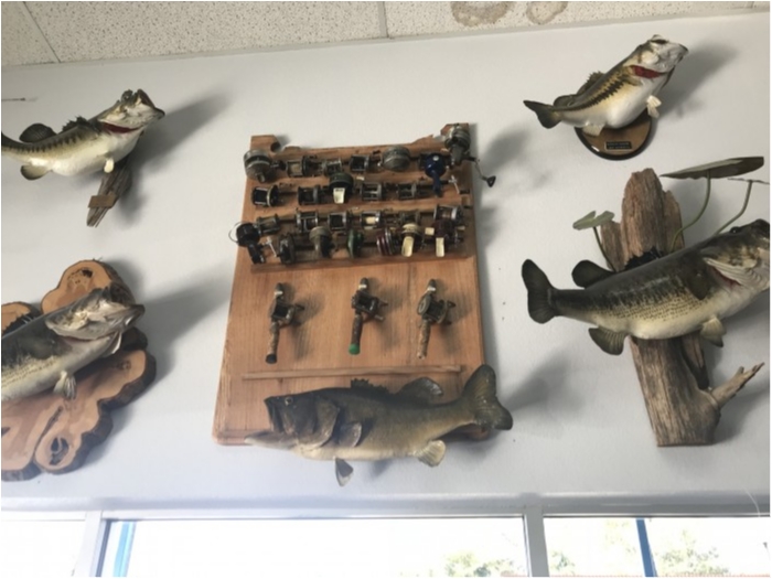 truth  ブログ写真 2019/02/14