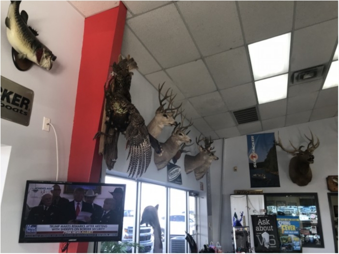 truth  ブログ写真 2019/02/14