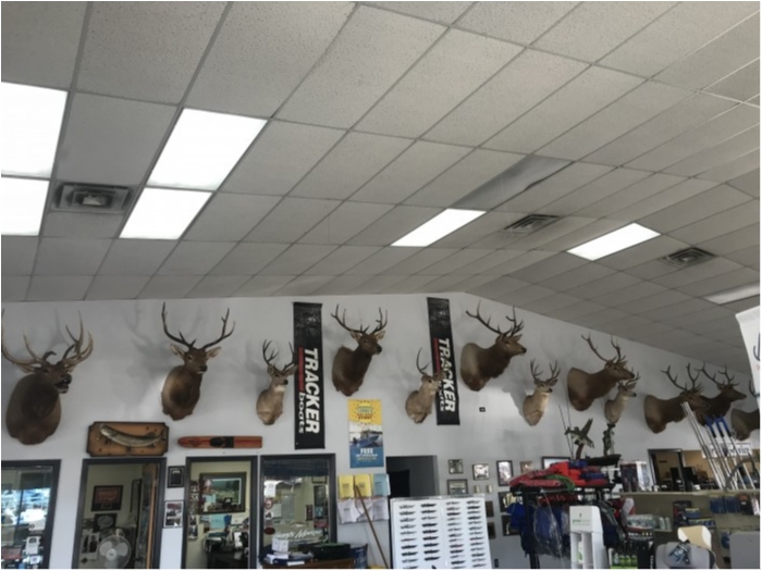 truth  ブログ写真 2019/02/14