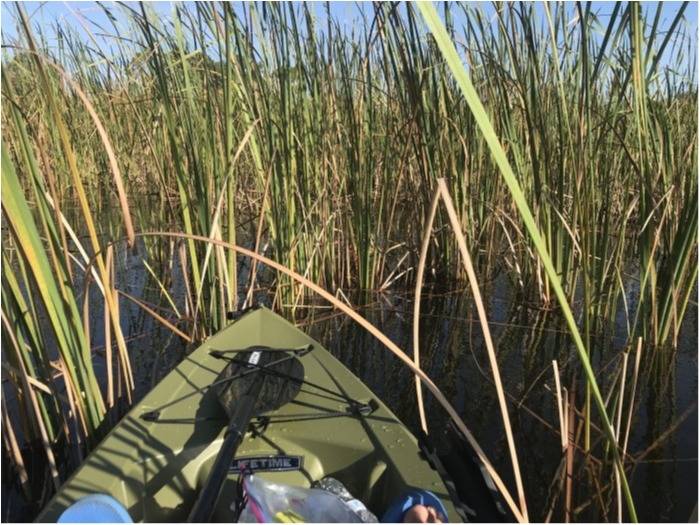 truth  ブログ写真 2019/02/16