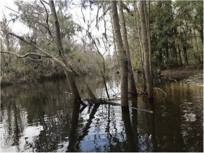 truth  ブログ写真 2019/02/16