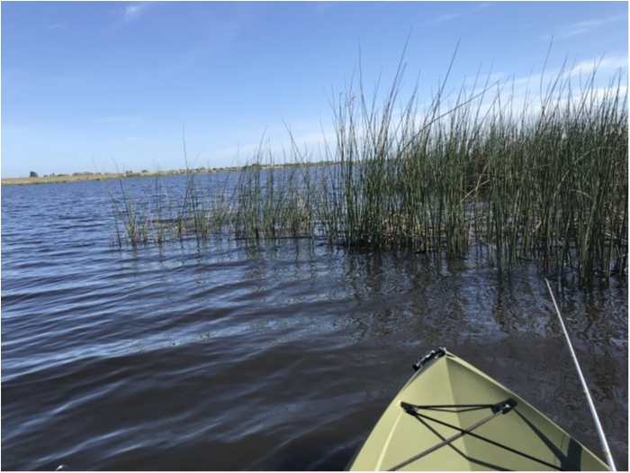 truth  ブログ写真 2019/02/17