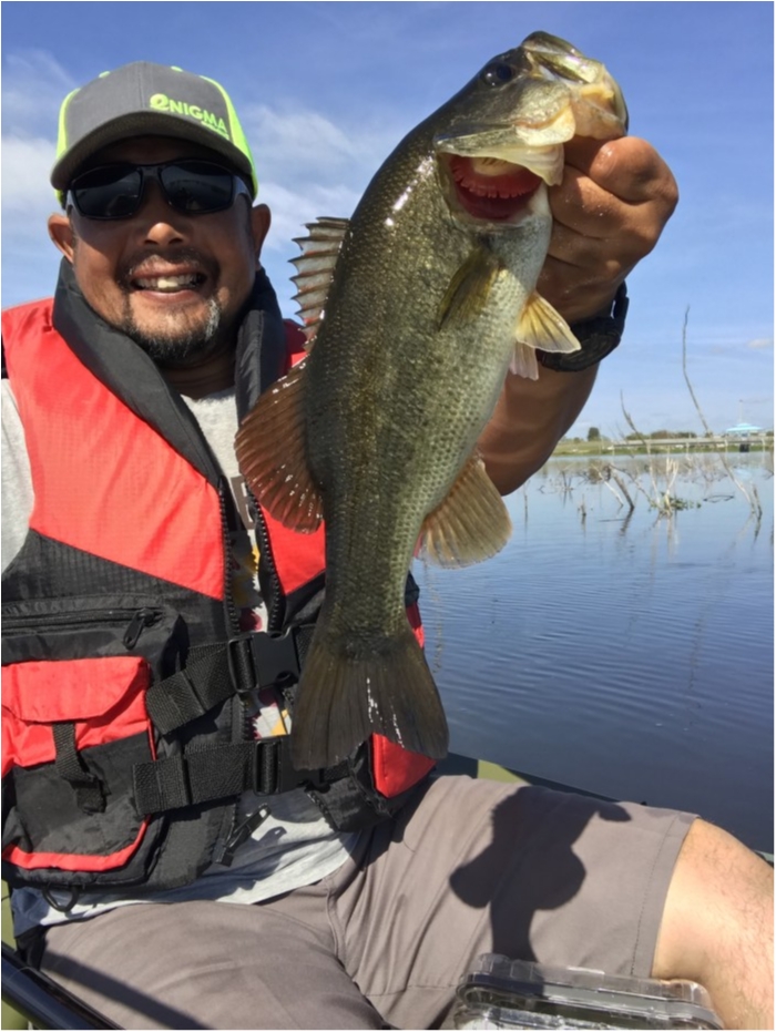 truth  ブログ写真 2019/02/17