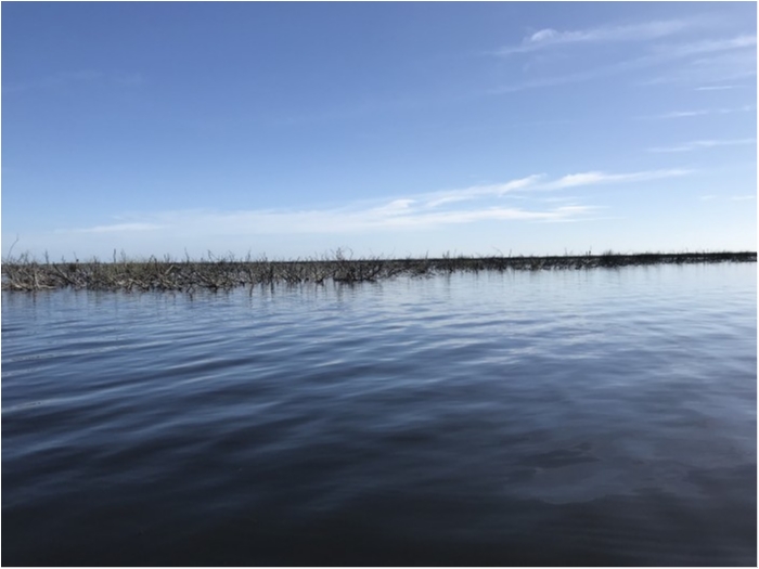 truth  ブログ写真 2019/02/17