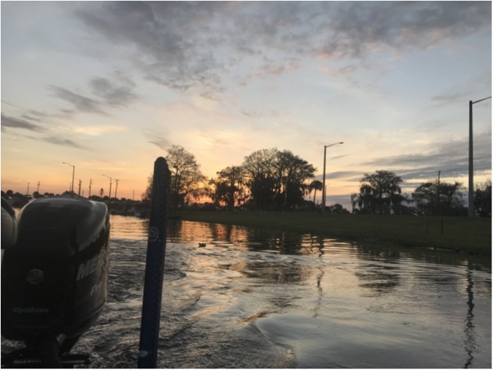 truth  ブログ写真 2019/02/18