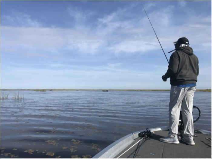 truth  ブログ写真 2019/02/18