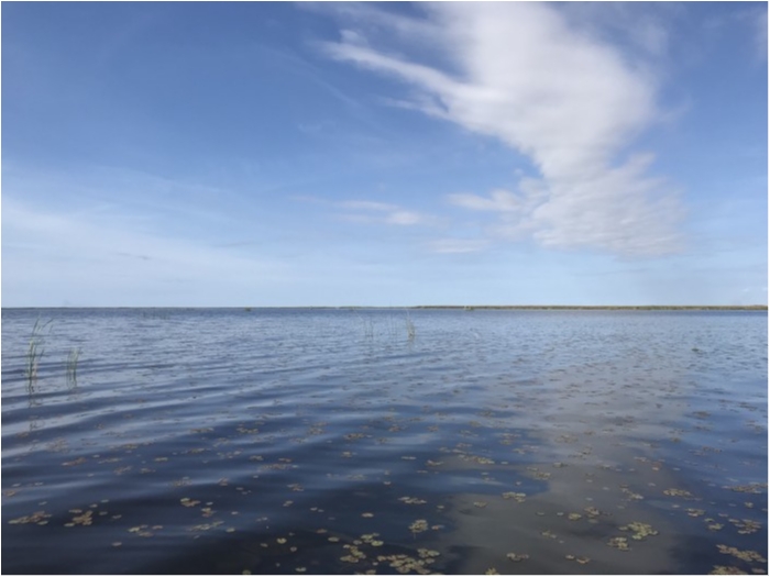 truth  ブログ写真 2019/02/18