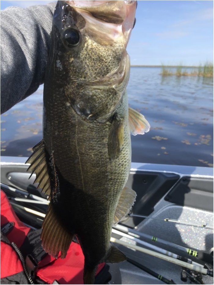 truth  ブログ写真 2019/02/18